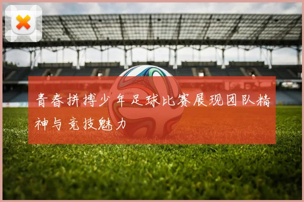 青春拼搏少年足球比赛展现团队精神与竞技魅力