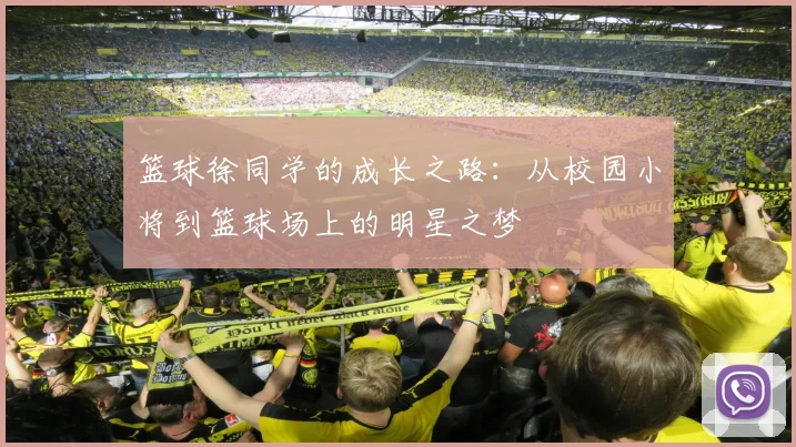 篮球徐同学的成长之路：从校园小将到篮球场上的明星之梦