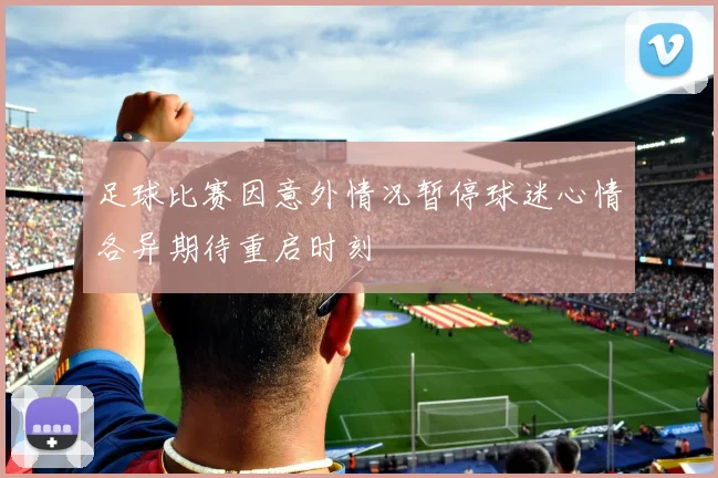 足球比赛因意外情况暂停球迷心情各异期待重启时刻