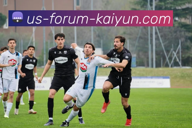 开云体育服务体系